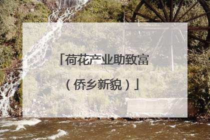 荷花产业助致富（侨乡新貌）