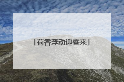 荷香浮动迎客来