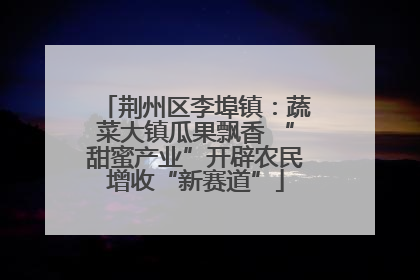 荆州区李埠镇：蔬菜大镇瓜果飘香 “甜蜜产业”开辟农民增收“新赛道”