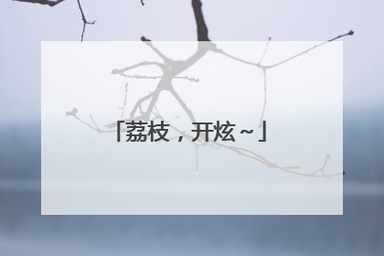 荔枝，开炫～
