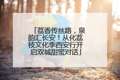 荔香传丝路，泉韵汇长安！从化荔枝文化季西安行开启双城甜蜜对话