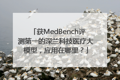 获MedBench评测第一的深兰科技医疗大模型，应用在哪里？