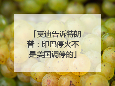 莫迪告诉特朗普：印巴停火不是美国调停的