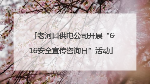 老河口供电公司开展“6·16安全宣传咨询日”活动