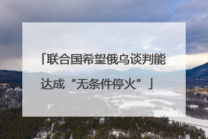 联合国希望俄乌谈判能达成“无条件停火”