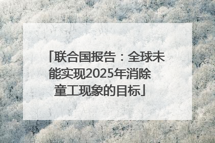 联合国报告：全球未能实现2025年消除童工现象的目标