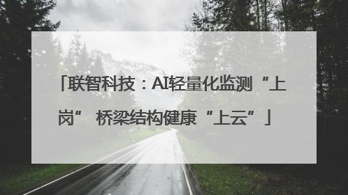 联智科技：AI轻量化监测“上岗” 桥梁结构健康“上云”