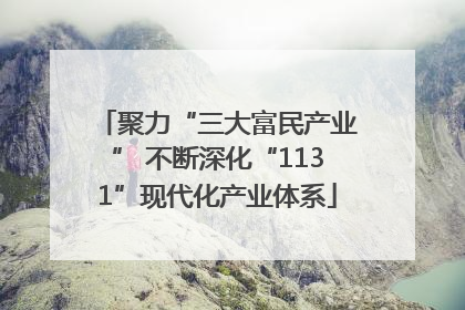 聚力“三大富民产业” 不断深化“1131”现代化产业体系