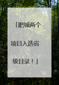 肥城两个项目入选省级目录！