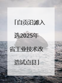 自贡沿滩入选2025年省工业技术改造试点县