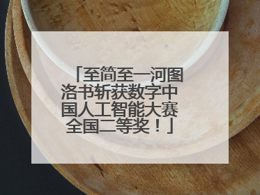 至简至一河图洛书斩获数字中国人工智能大赛全国二等奖！
