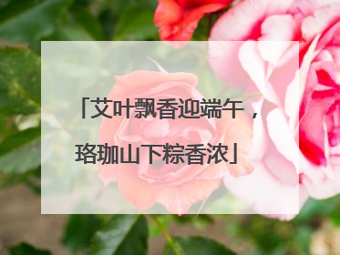 艾叶飘香迎端午，珞珈山下粽香浓