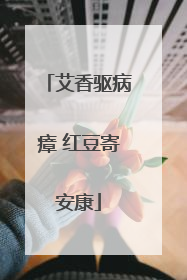 艾香驱病瘴 红豆寄安康
