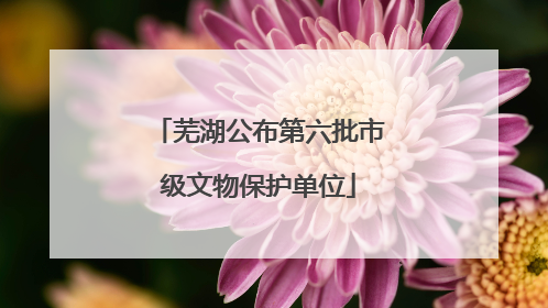 芜湖公布第六批市级文物保护单位