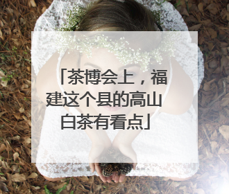 茶博会上，福建这个县的高山白茶有看点