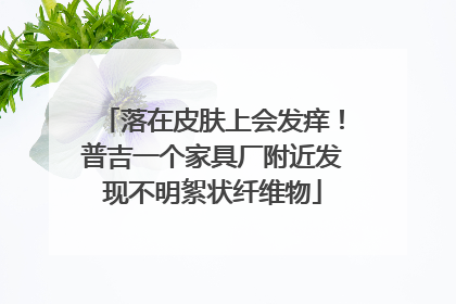 落在皮肤上会发痒！普吉一个家具厂附近发现不明絮状纤维物