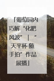 葡萄园内巧解“化肥风波”｜“天平杯·随手拍”作品展播