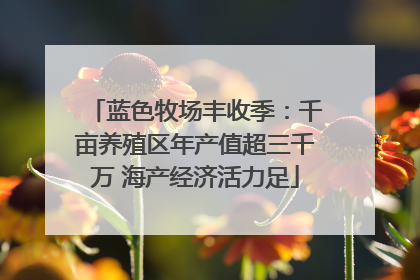 蓝色牧场丰收季：千亩养殖区年产值超三千万 海产经济活力足