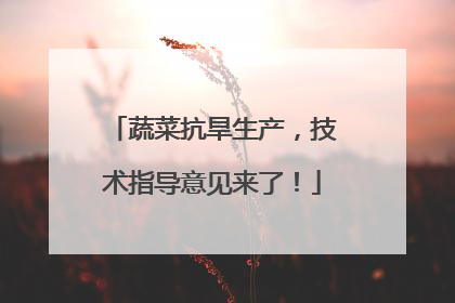 蔬菜抗旱生产，技术指导意见来了！