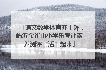 语文数学体育齐上阵，临沂金雀山小学乐考让素养测评“活”起来