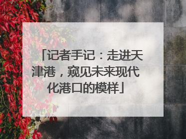 记者手记：走进天津港，窥见未来现代化港口的模样