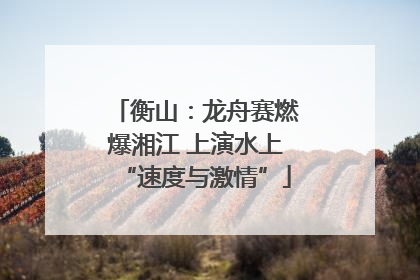 衡山：龙舟赛燃爆湘江 上演水上“速度与激情”