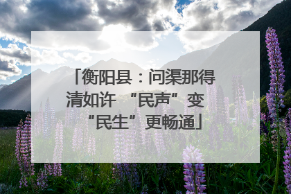 衡阳县：问渠那得清如许 “民声”变“民生”更畅通