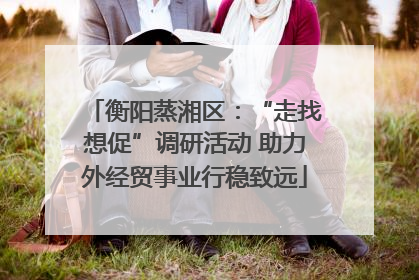 衡阳蒸湘区：“走找想促”调研活动 助力外经贸事业行稳致远