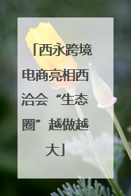 西永跨境电商亮相西洽会“生态圈”越做越大