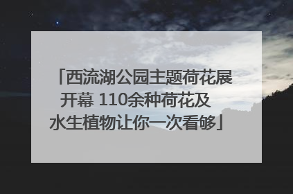西流湖公园主题荷花展开幕 110余种荷花及水生植物让你一次看够