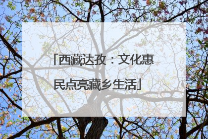 西藏达孜：文化惠民点亮藏乡生活