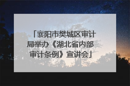 襄阳市樊城区审计局举办《湖北省内部审计条例》宣讲会