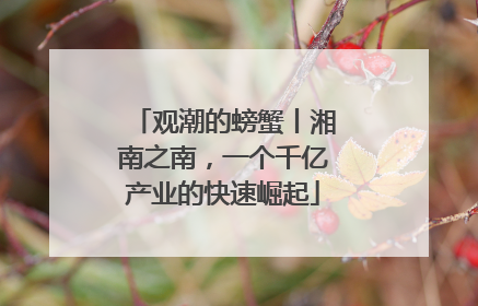 观潮的螃蟹丨湘南之南，一个千亿产业的快速崛起