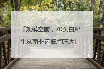 规模空前，70头白犀牛从南非运抵卢旺达