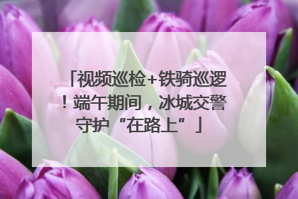 视频巡检+铁骑巡逻！端午期间，冰城交警守护“在路上”