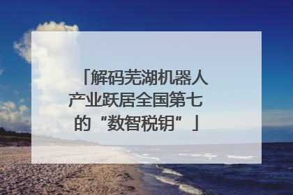 解码芜湖机器人产业跃居全国第七的“数智税钥”