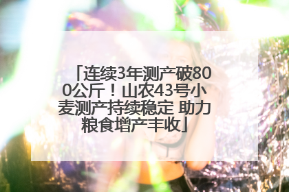 连续3年测产破800公斤！山农43号小麦测产持续稳定 助力粮食增产丰收