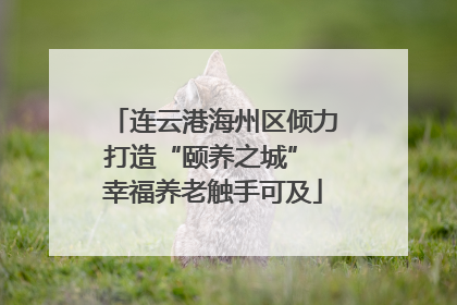 连云港海州区倾力打造“颐养之城” 幸福养老触手可及