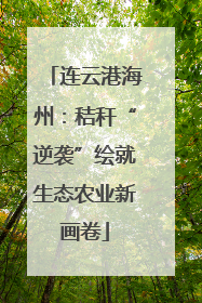 连云港海州：秸秆“逆袭”绘就生态农业新画卷