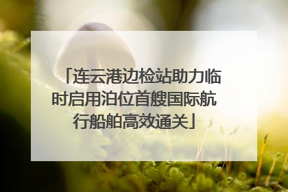 连云港边检站助力临时启用泊位首艘国际航行船舶高效通关