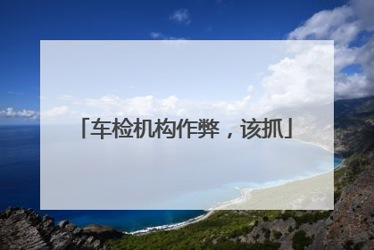 车检机构作弊，该抓