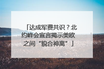 达成军费共识？北约峰会宣言揭示美欧之间“貌合神离”