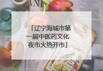 辽宁海城市第一届中医药文化夜市火热开市