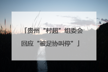 贵州“村超”组委会回应“被足协叫停”