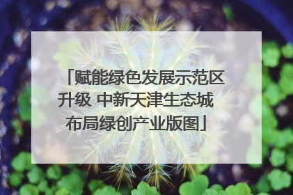 赋能绿色发展示范区升级 中新天津生态城布局绿创产业版图