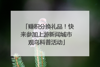 赚积分换礼品！快来参加上游新闻城市观鸟科普活动