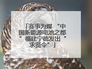 赛事为媒 “中国新能源电池之都”福建宁德发出“求贤令”