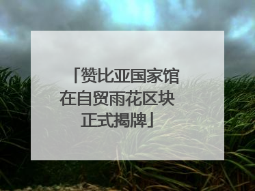 赞比亚国家馆在自贸雨花区块正式揭牌