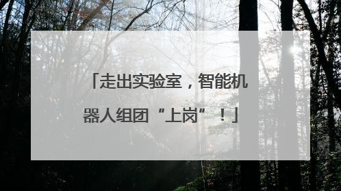 走出实验室，智能机器人组团“上岗”！