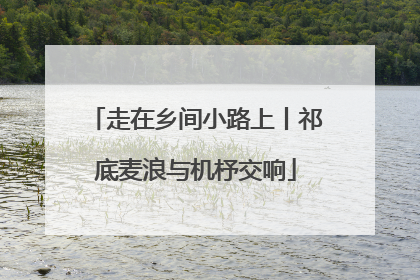 走在乡间小路上丨祁底麦浪与机杼交响